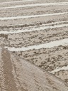 Дорожка Альфа Современный 88050 Бежево-коричневый
